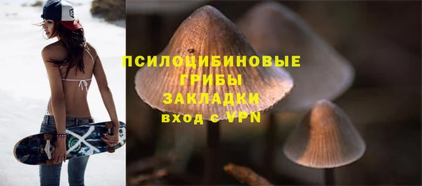 синтетический гашиш Алексин