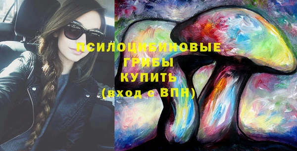 тгк Алзамай