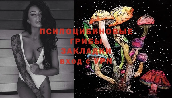 синтетический гашиш Алексин