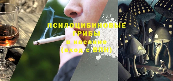 тгк Алзамай